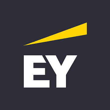 EY Corporate Solutions GmbH & Co. KG